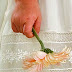 Sewing with Lace and Entredeux Sewing with Lace and Entredeux
