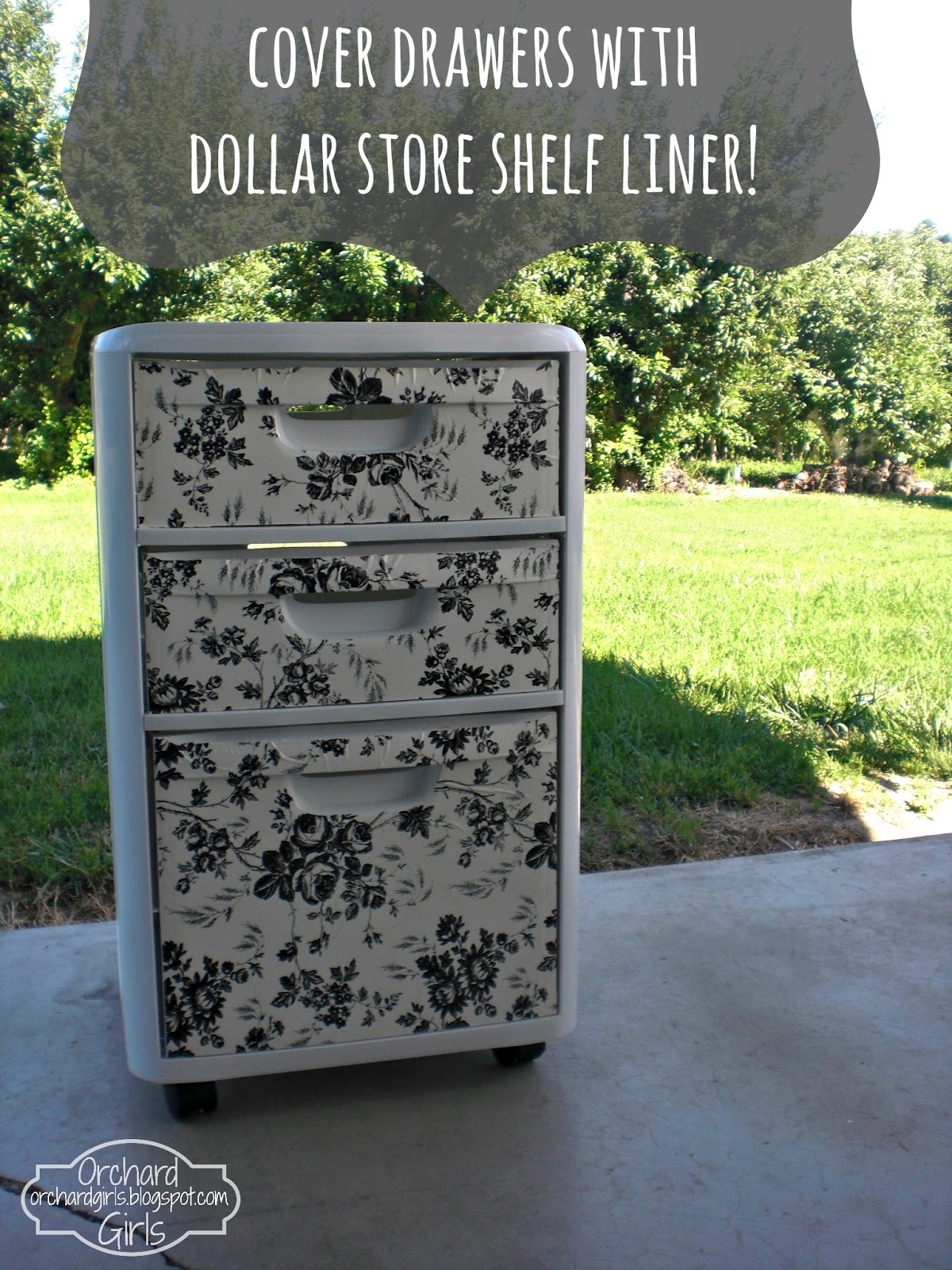 Orchard Girls Thrifty Thursday Cover Drawers with Dollar Store Shelf