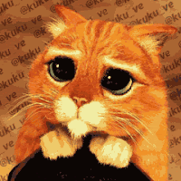 Résultat de recherche d'images pour "chat potté yeux doux"