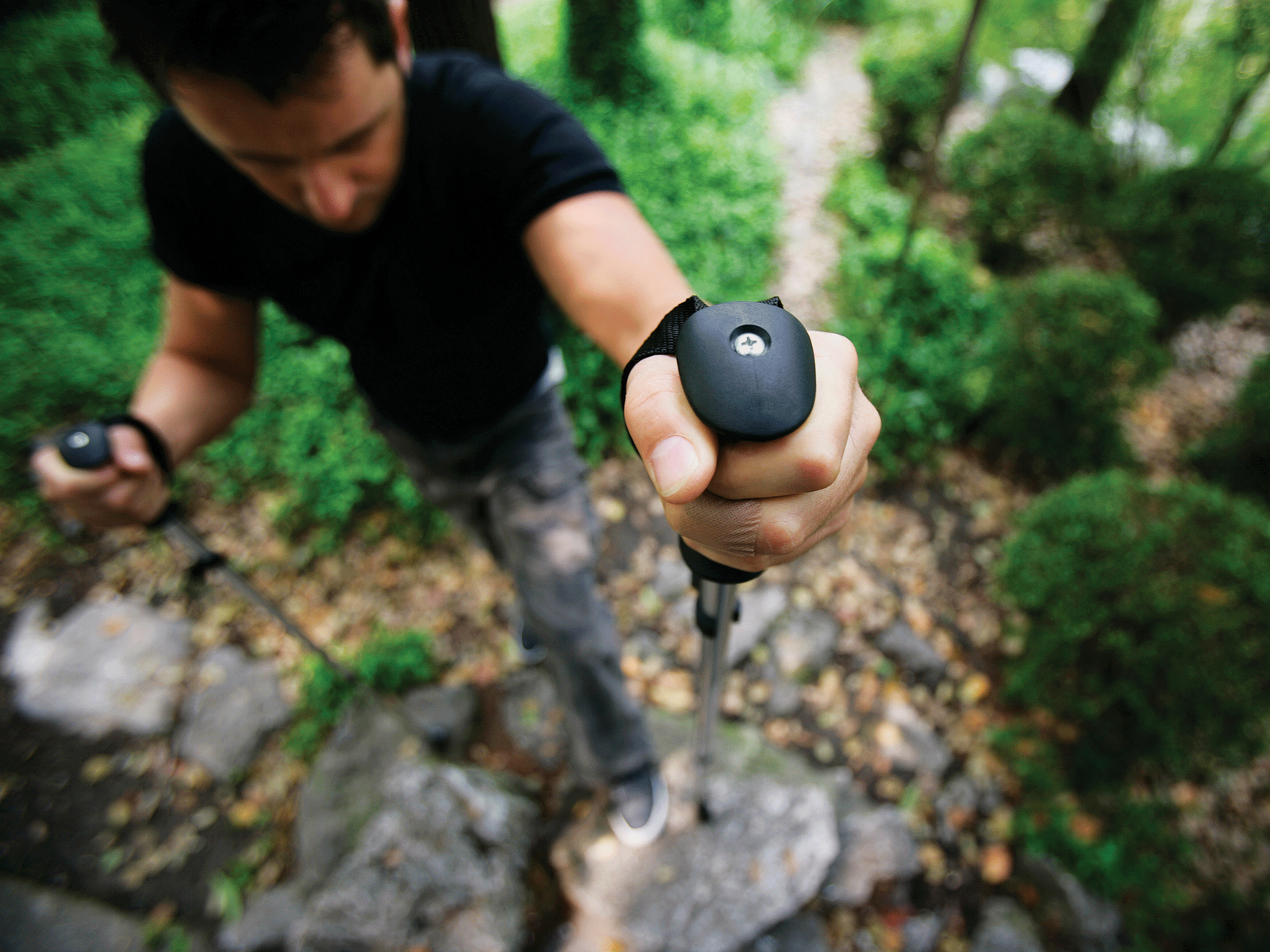 Cardio Trek Toronto Personal Trainer The Benefits of Walking Sticks