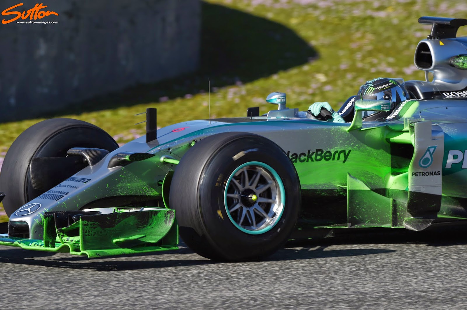 dcd1501fe348.jpg