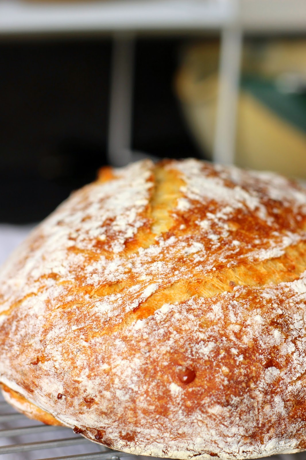 The Owl with the Goblet Parmesan Thyme Crusty Bread