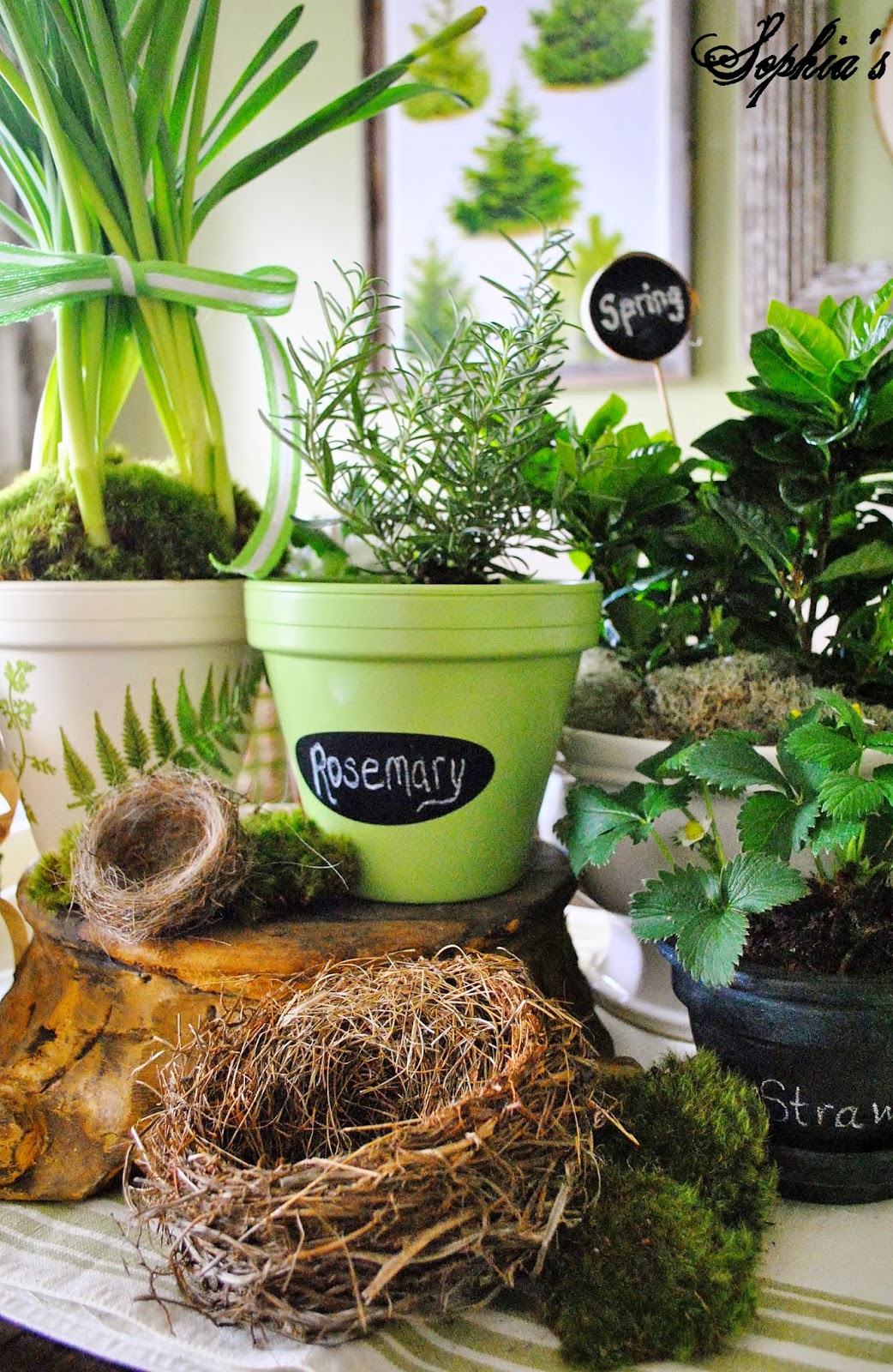 Sophia's DIY Spring Clay Pots & Michaels Pinterest Party