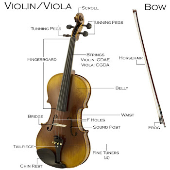 Violin Description
