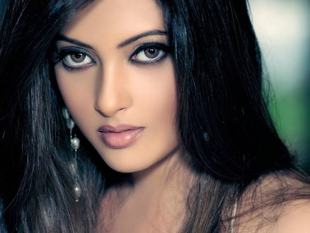 Riya Sen Hd Wallpapers