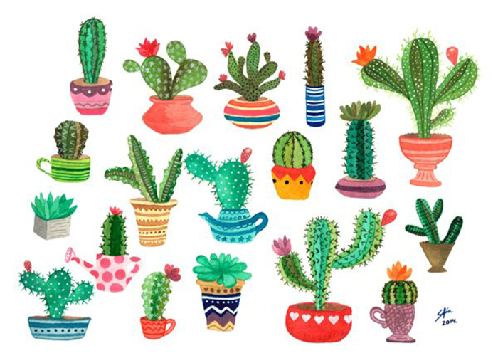 6 ideas to decorate your house with cactus that you will love - IMujer