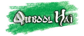 Qubool Hai Official Web Site