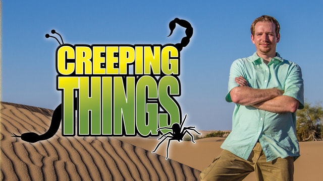 Awesome Science TV: Creeping Things