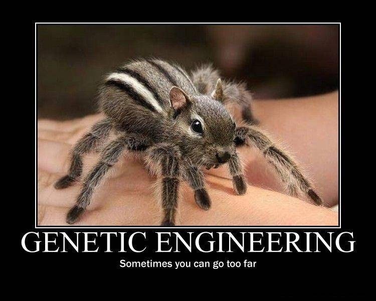 an opinion that genetic engineering should not be done on humans Genetic engineering is any process by which genetic material will humans know when to say enough to the changes that can be made with hgt genetic engineering is a career not popularly known. an opinion that genetic engineering should not be done on humans Genetic engineering is any process by which genetic material will humans know when to say enough to the changes that can be made with hgt genetic engineering is a career not popularly known.