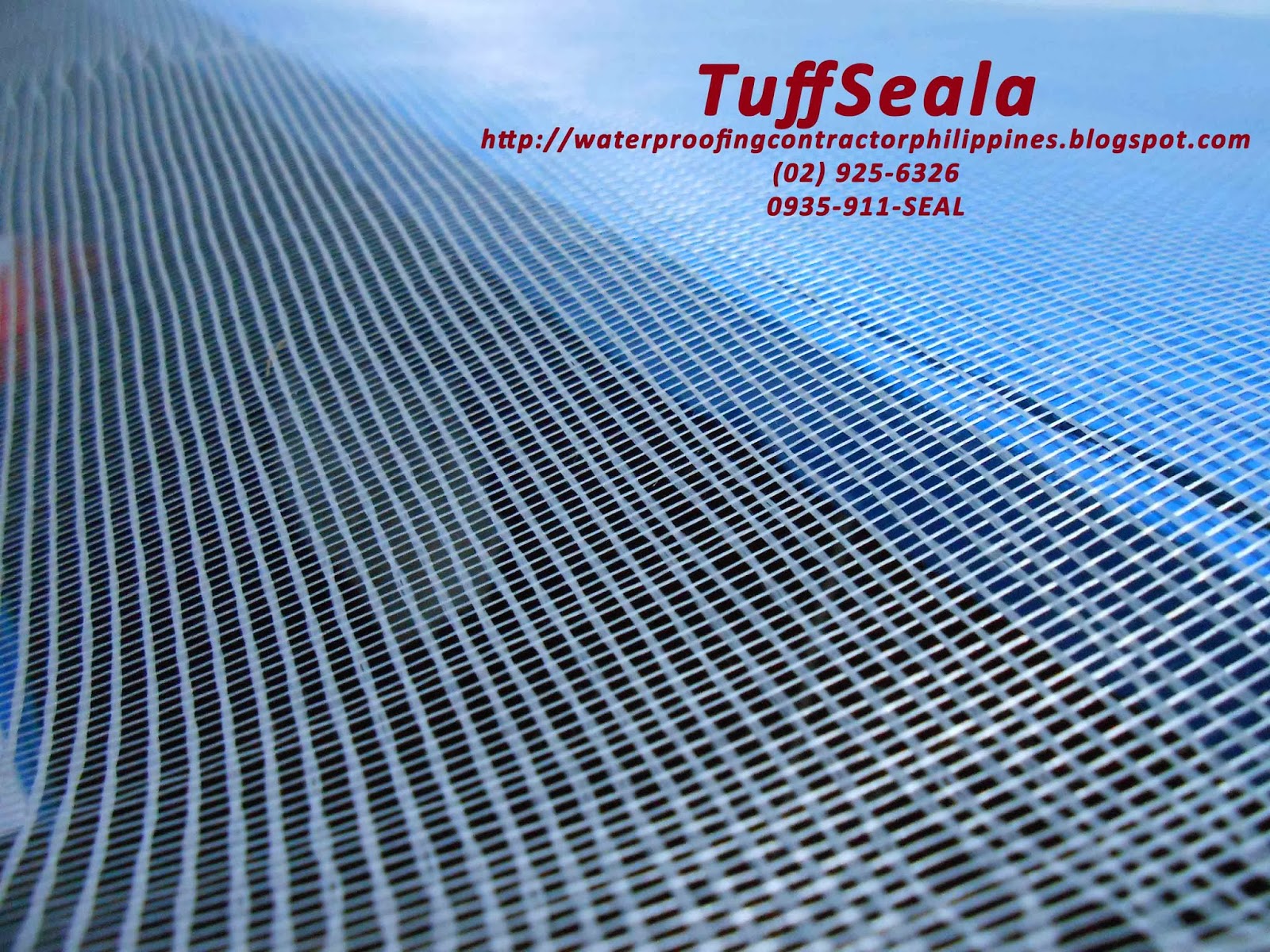 Fiber Glass Mesh (fiberglass) or FiberGlass Net (Philippines Supplier