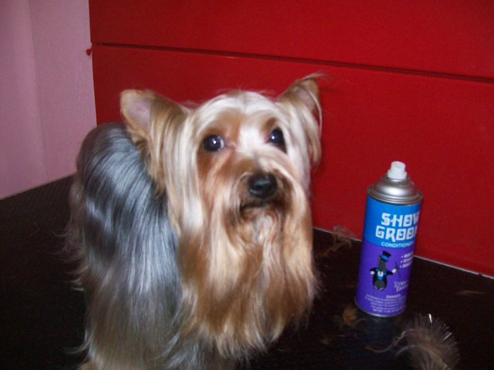 Almo Nature Dog Food Ingredients Almo Nature Dog Food Ingredients