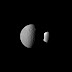 Le due «sorelle» Rhea e Dione