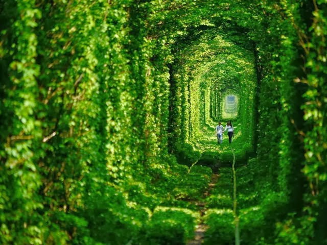 Tunel del Amor, Ucrania