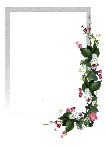 arts digitais: Molduras florais
