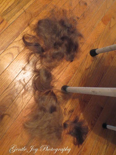 Gentle Joy Homemaker Haircuts For The Girls