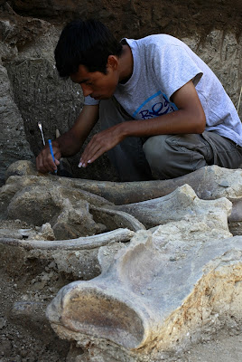 the image of fertility in the prehistoric excavations Recent excavations suggest that the ancient people of italian peninsula merged the cult of damia - a goddess of fertility and the harvest - with . the image of fertility in the prehistoric excavations Recent excavations suggest that the ancient people of italian peninsula merged the cult of damia - a goddess of fertility and the harvest - with .