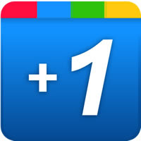 Google +1