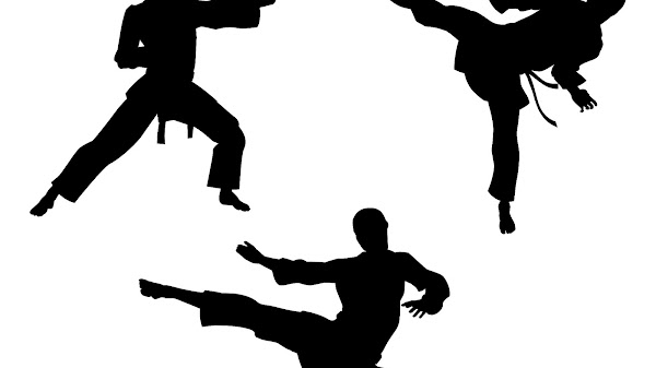Shotokan - Images For Karate