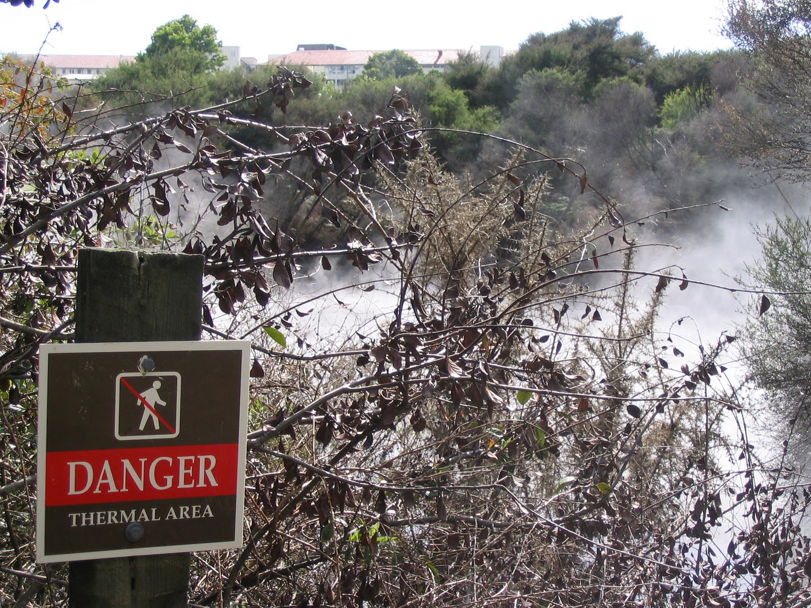 Mondo Memento Dangerous New Zealand