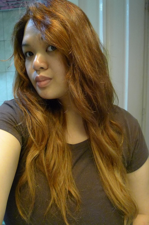 Traciethediva Ping Guide Diy Ombre Hair