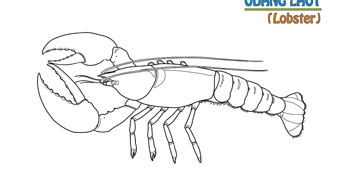 gambar mewarnai lobster