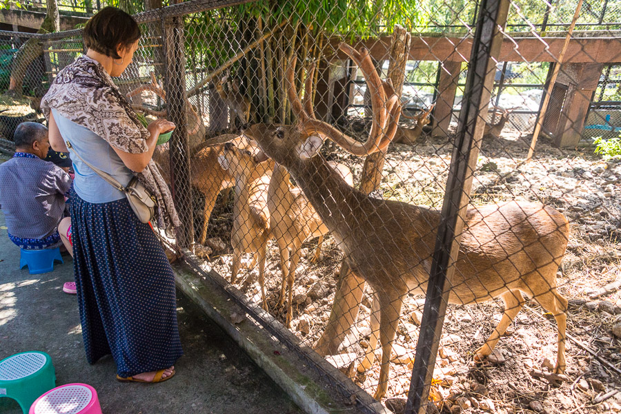 Chiang Mai Zoo. Part one.