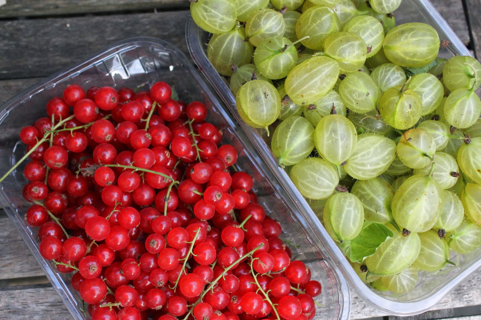 JibberJabberUK Redcurrant and gooseberry jelly