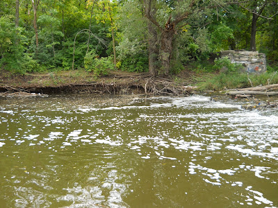 I wonder if it will hold salmon in the fall.