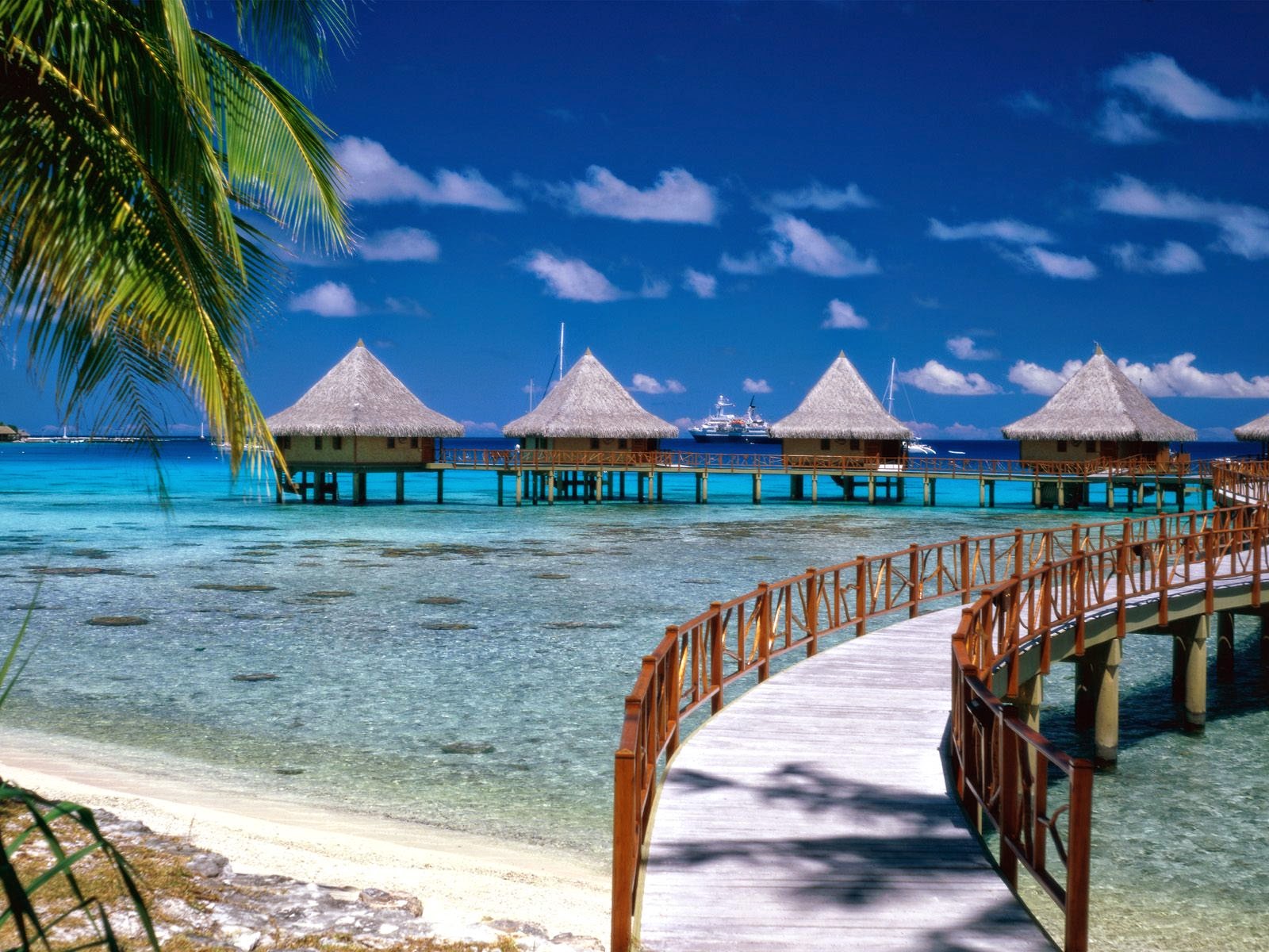 Walkway to Paradise French Polynesia Your Wallpaper - walkway to paradise french polynesia wallpapers