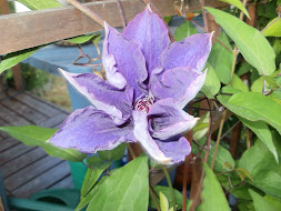 Onnea on kasvattaa kukkia