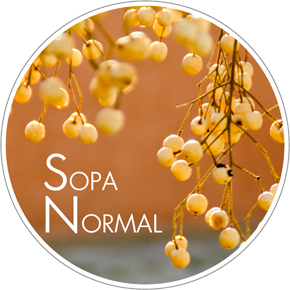 Sopan Normal