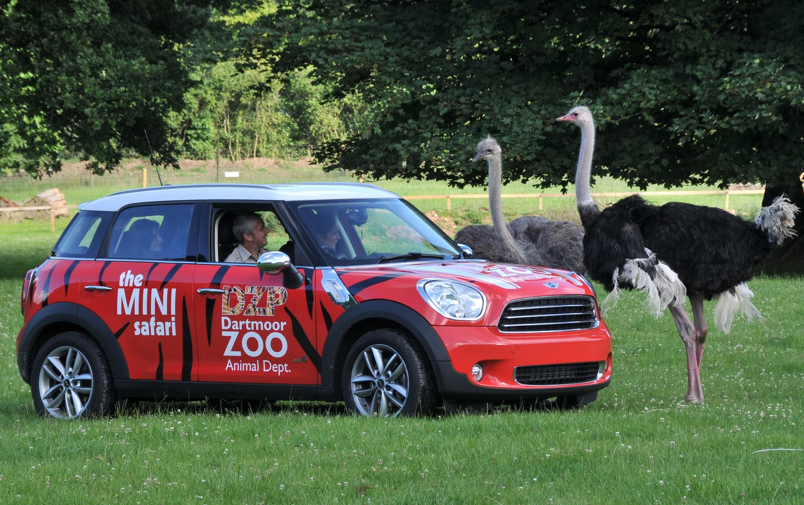 Dartmoor Zoological Park review locationpicturesmap.Choice Your