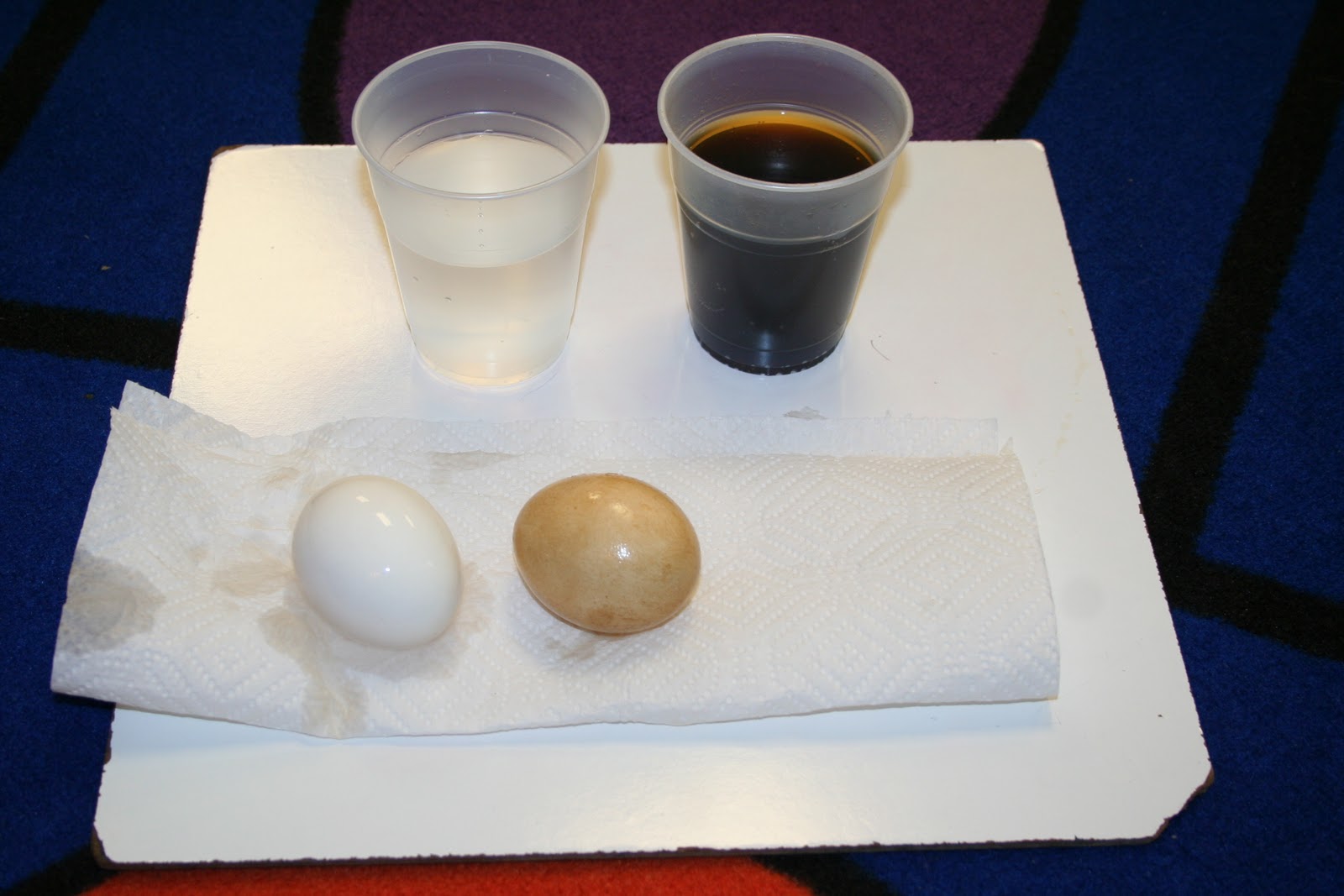 Eberhart's Explorers Dental Health Week!