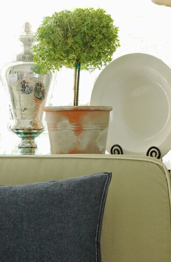 Simply Suzanne's AT HOME Savour . . . a Greek basil tree