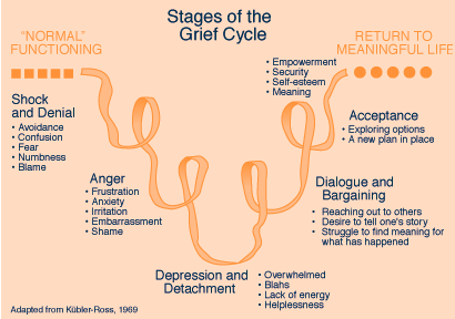 The Grief Cycle Chart