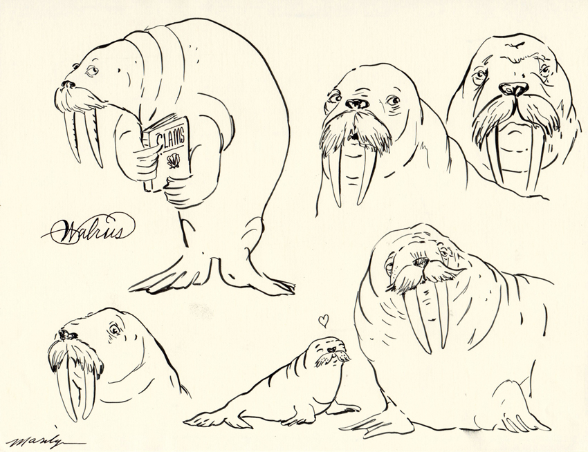 Drawing Walruses Diet - chattergala