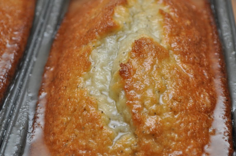 teasespoon of sugar Lemon Poppy Seed Loaf (Starbuck's Copycat)