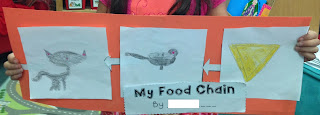 The Adventures of a K/1 Teacher: Habitats & Food Chains