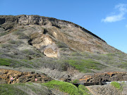 Rather arid on this part of Oahu. Our next stop was at Halona Cove to see . (oahu ntl hilites halona cove koko crater)