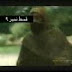 Prophet yousef A.S 22 (Urdu)