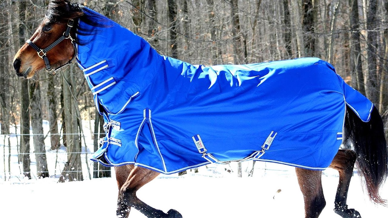 Blanket Electric Horse Blanket Horse Choices