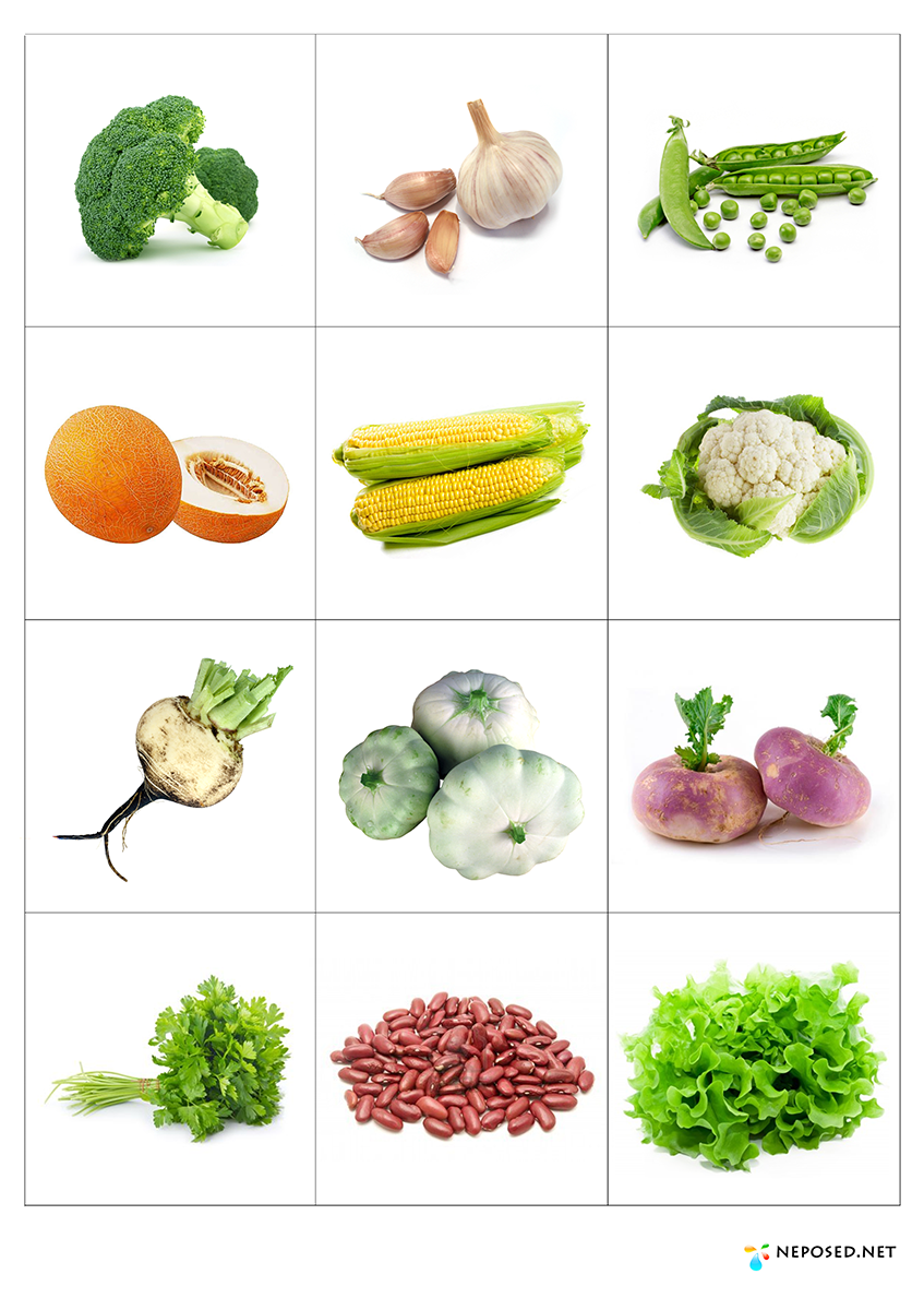 Cooking Games