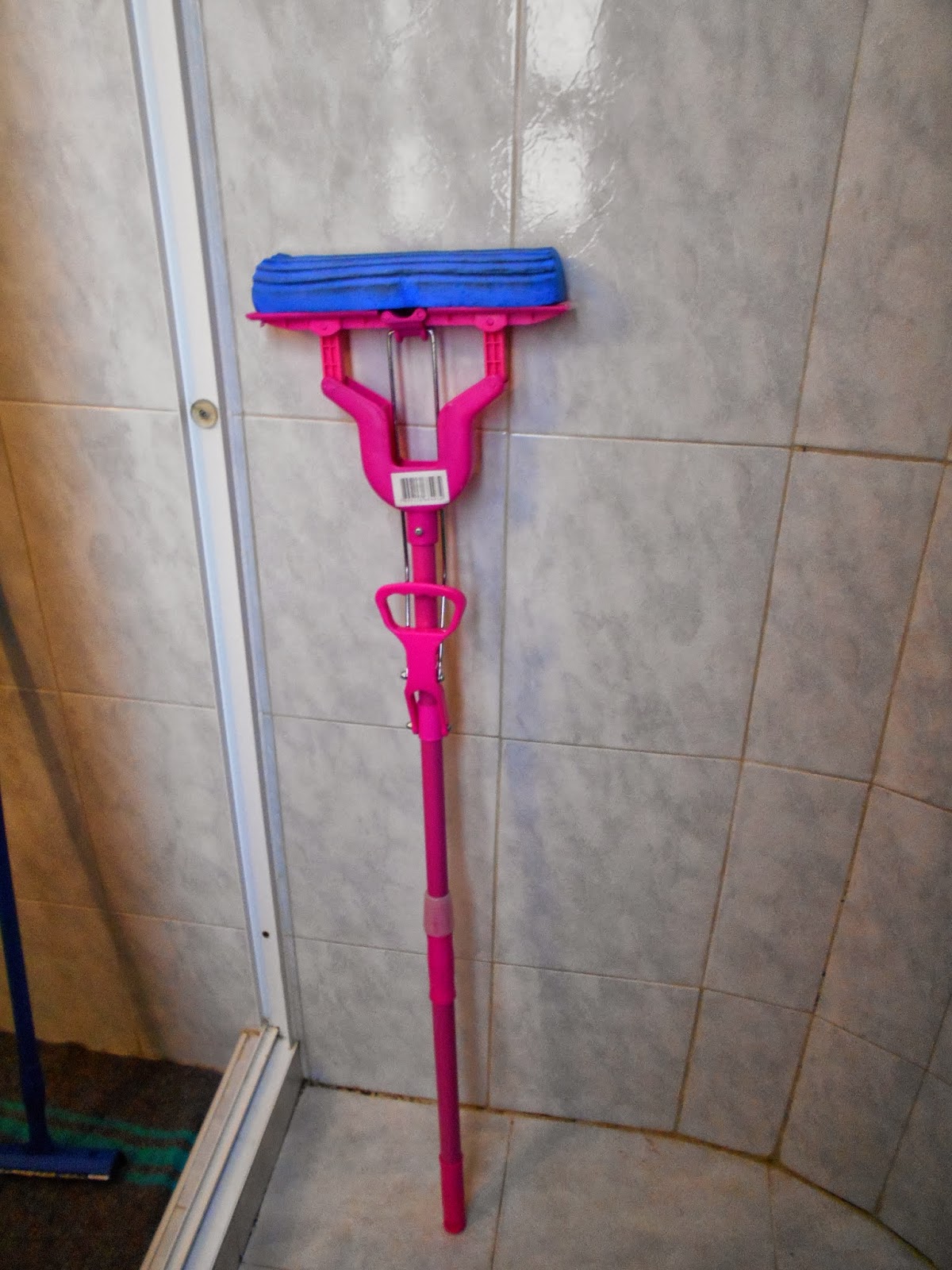 Venezuela *Spanish Slang and the Providential Mop Incident*