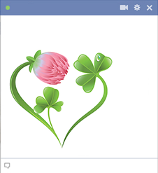 Facebook flower heart emoticon