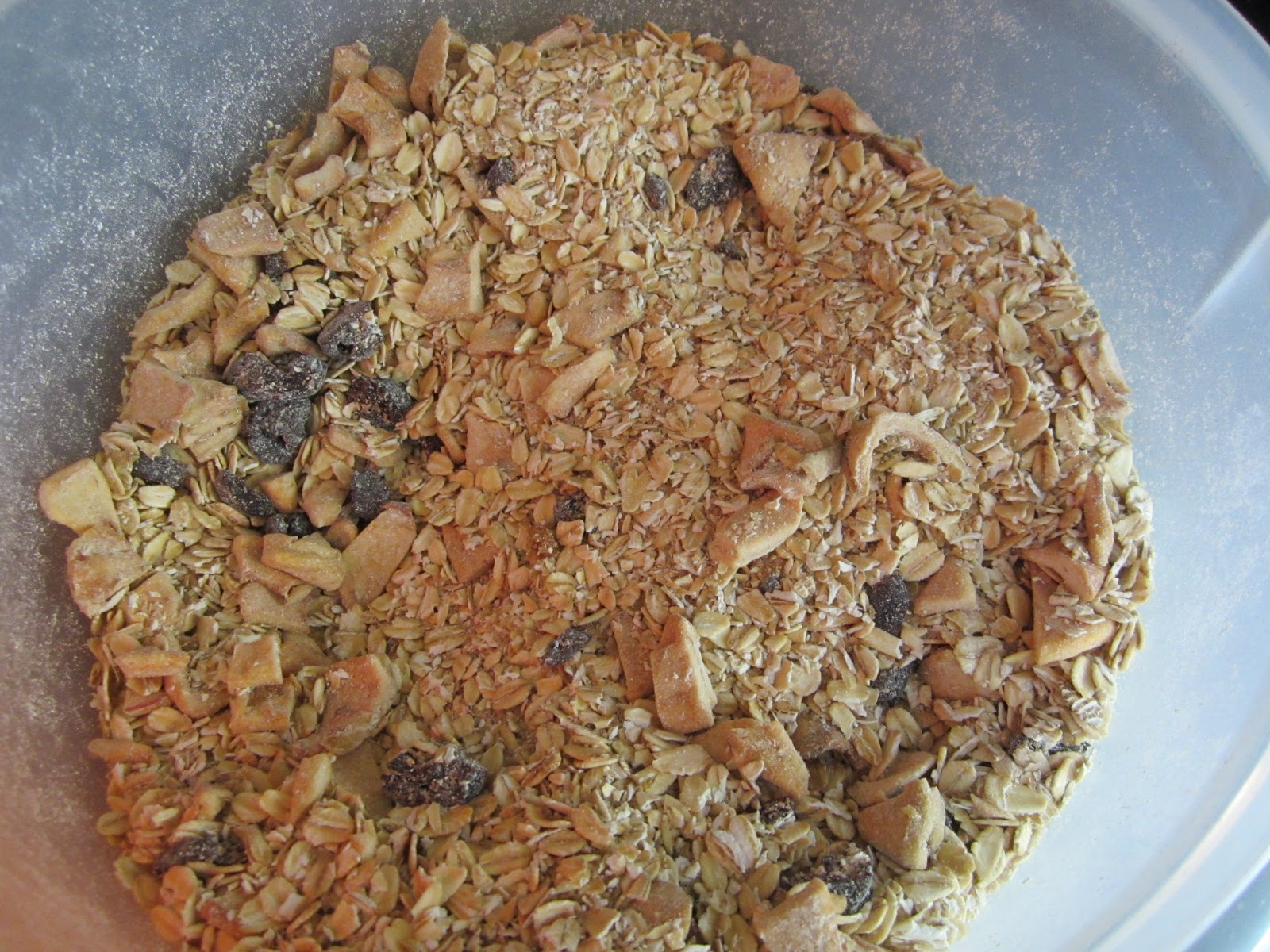 Feeding Our Lives, LLC Homemade Instant Organic Oatmeal Recipe