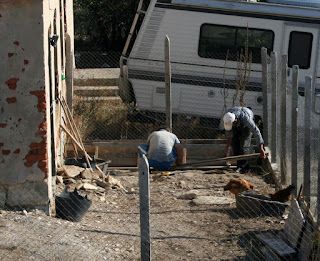 Getting on with the pond Getting on with the pond