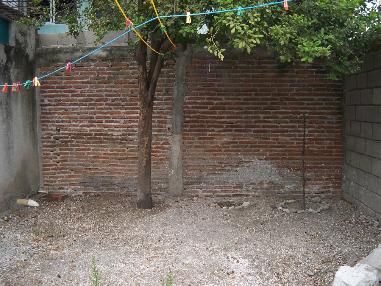 El patio de mi casa Bitácora de un huerto