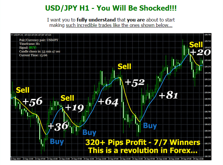 Forex octa