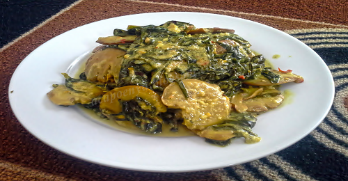 Manfaat Dan Khasiat Jengkol Manfaat Dan Khasiat Jengkol