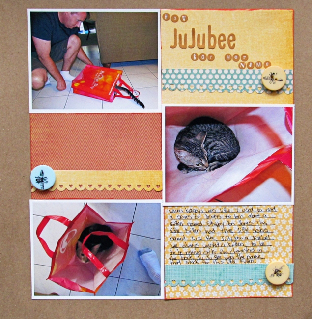 Jujube fruit side effects picture